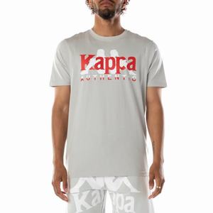 Camiseta Kappa Authentic Vanguard Grises Blancos | 60179-JDXH