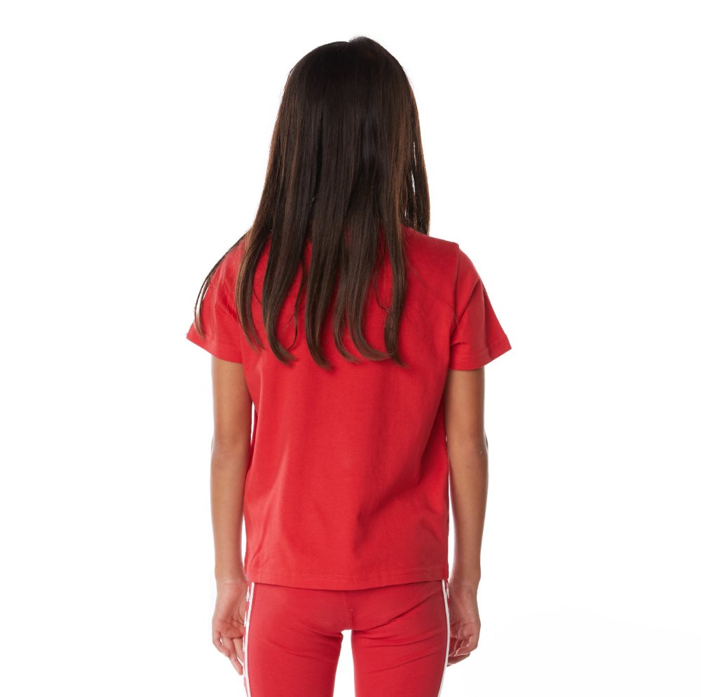 Camiseta Kappa Authentic Graphik Graphy Rojos | 92740-FEOC