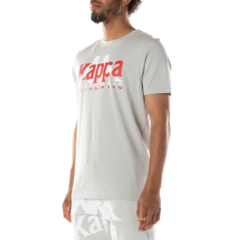 Camiseta Kappa Authentic Vanguard Grises Blancos | 60179-JDXH