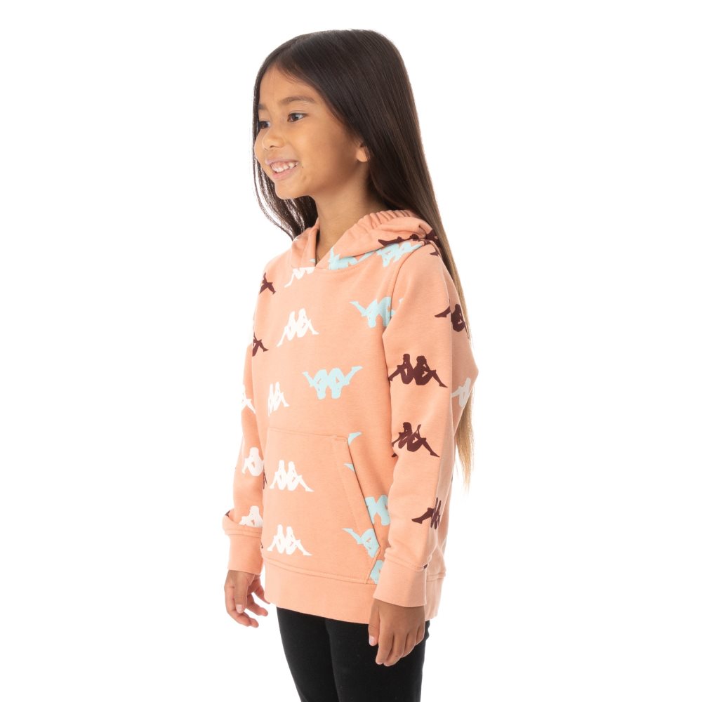 Sudadera Con Capucha Kappa Authentic Sneek Rosas Coral | 02485-QUMD